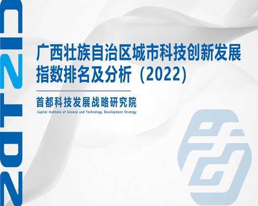 肏老太太屄自拍【成果发布】广西壮族自治区城市科技创新发展指数排名及分析（2022）